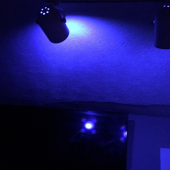 Meet your Posher, Chel - Picture 1 of 1